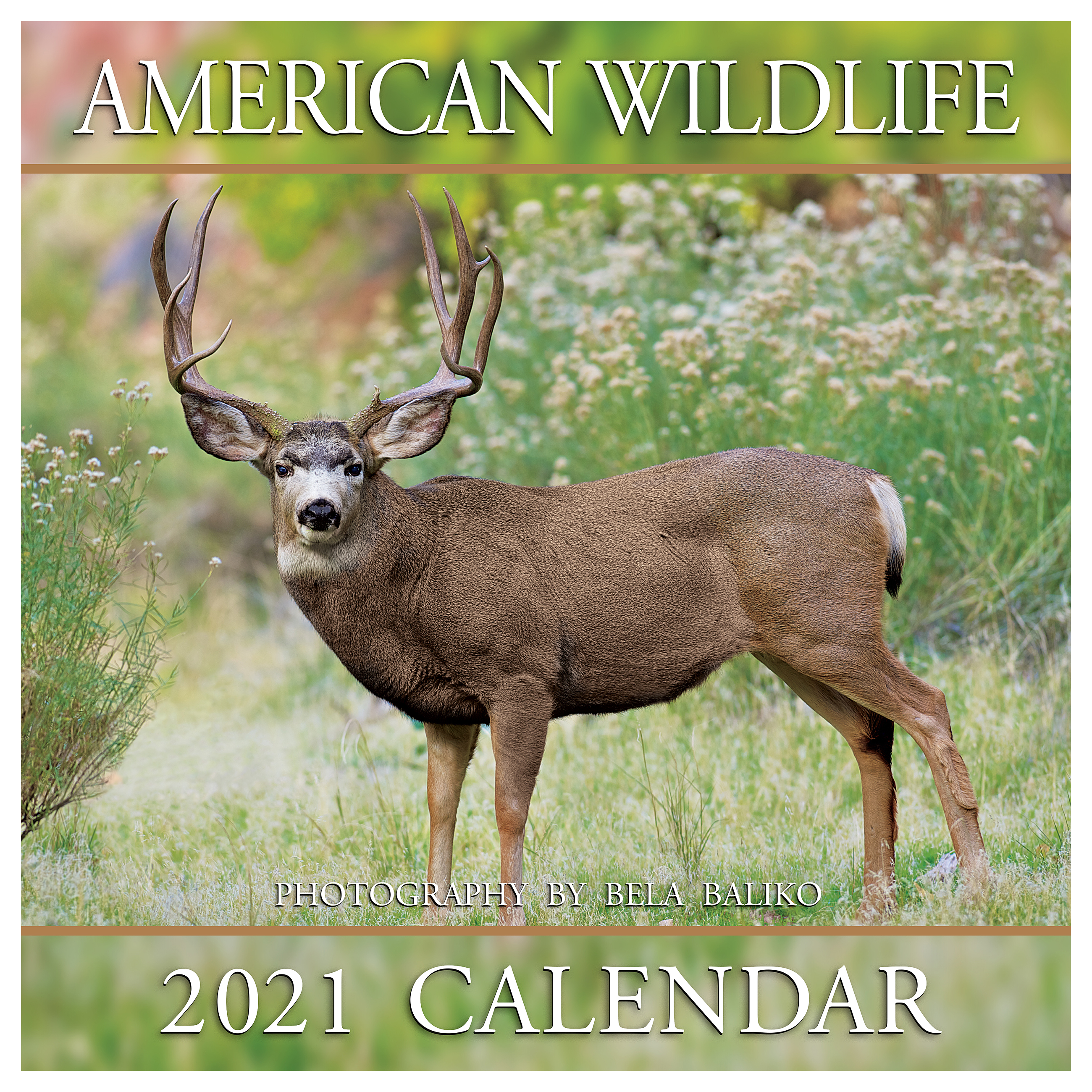 Bela Baliko 2021 American Wildlife Calendar | Cabela's